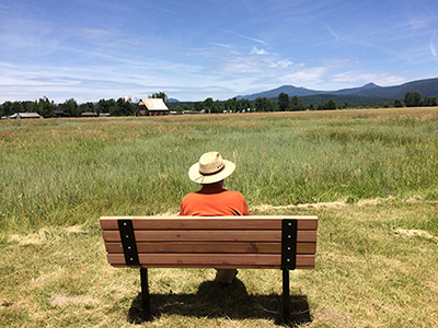 Man sits on bench overlooking Olsen Barn Meadow