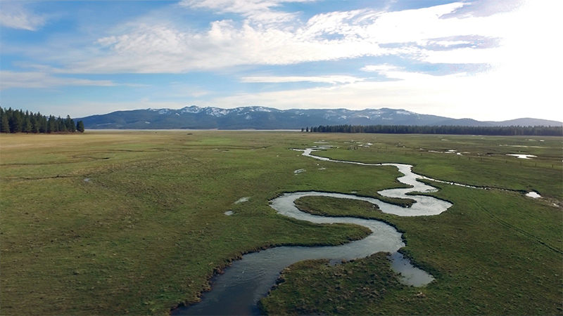 Mountain Meadows aerial shot