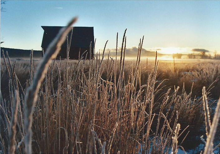 Olsen Barn Meadow photographed at sunrise, with grasses in the foreground
