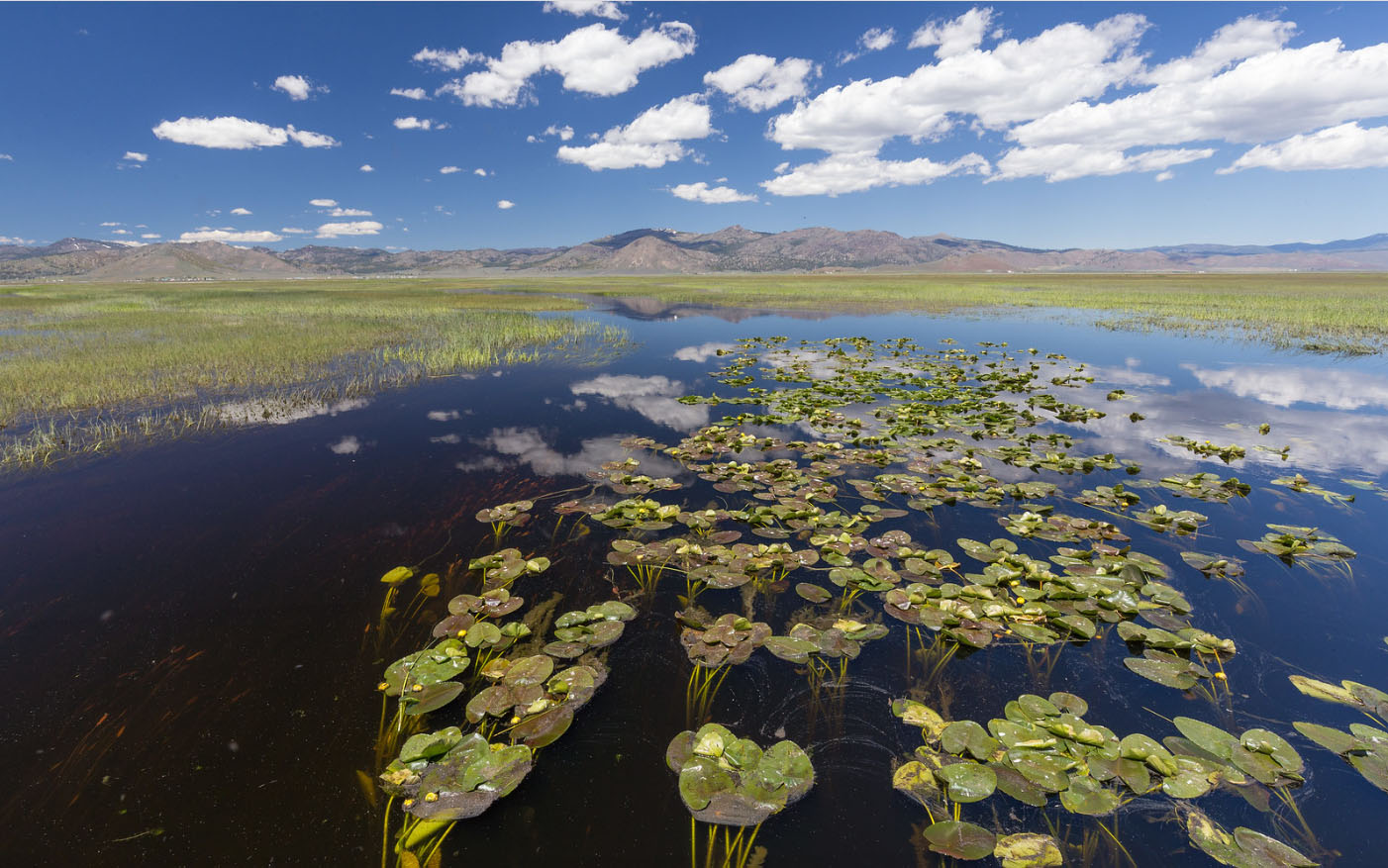 Sierra Valley Preserve Feather River Land Trust