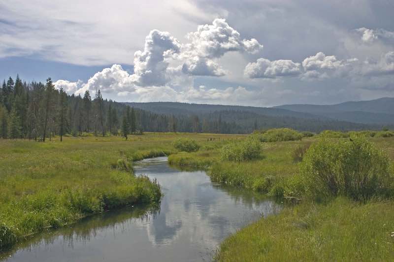 Yellow Creek, Humbug Valley, Tasmam Koyom