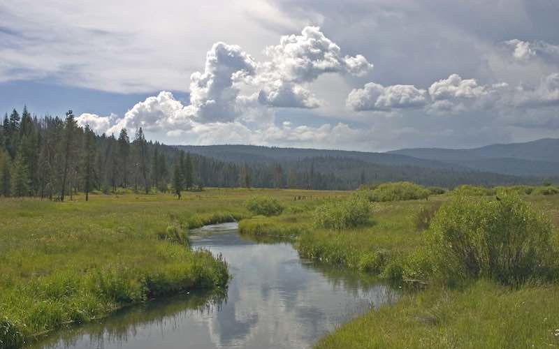 Yellow Creek meanders through the Tasmam Koyom Maidu homeland