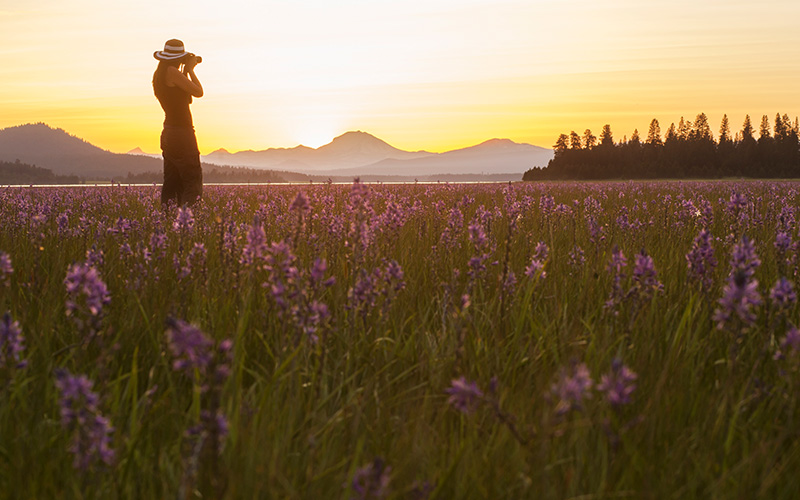 Photographer among wildflowers and sunset at Mountain Meadows