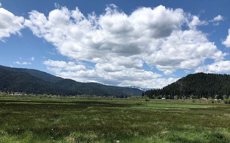 Wet meadow in American Valley. Leonhardt Preserve