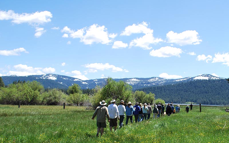 People walk on meadow trail at Mountain Meadows Gateway Preserve