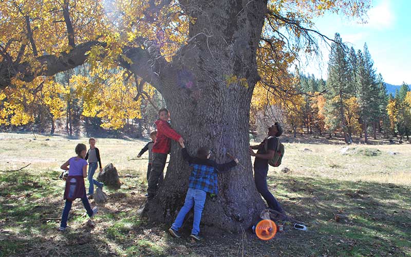 Children hug a large oak tree at Heart K Ranch
