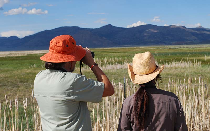 Sierra Valley birders