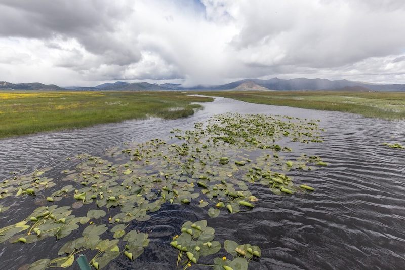 Sierra Valley wetlands and clouds