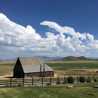 Barn at Grashuis Ranch in Sierra Valley
