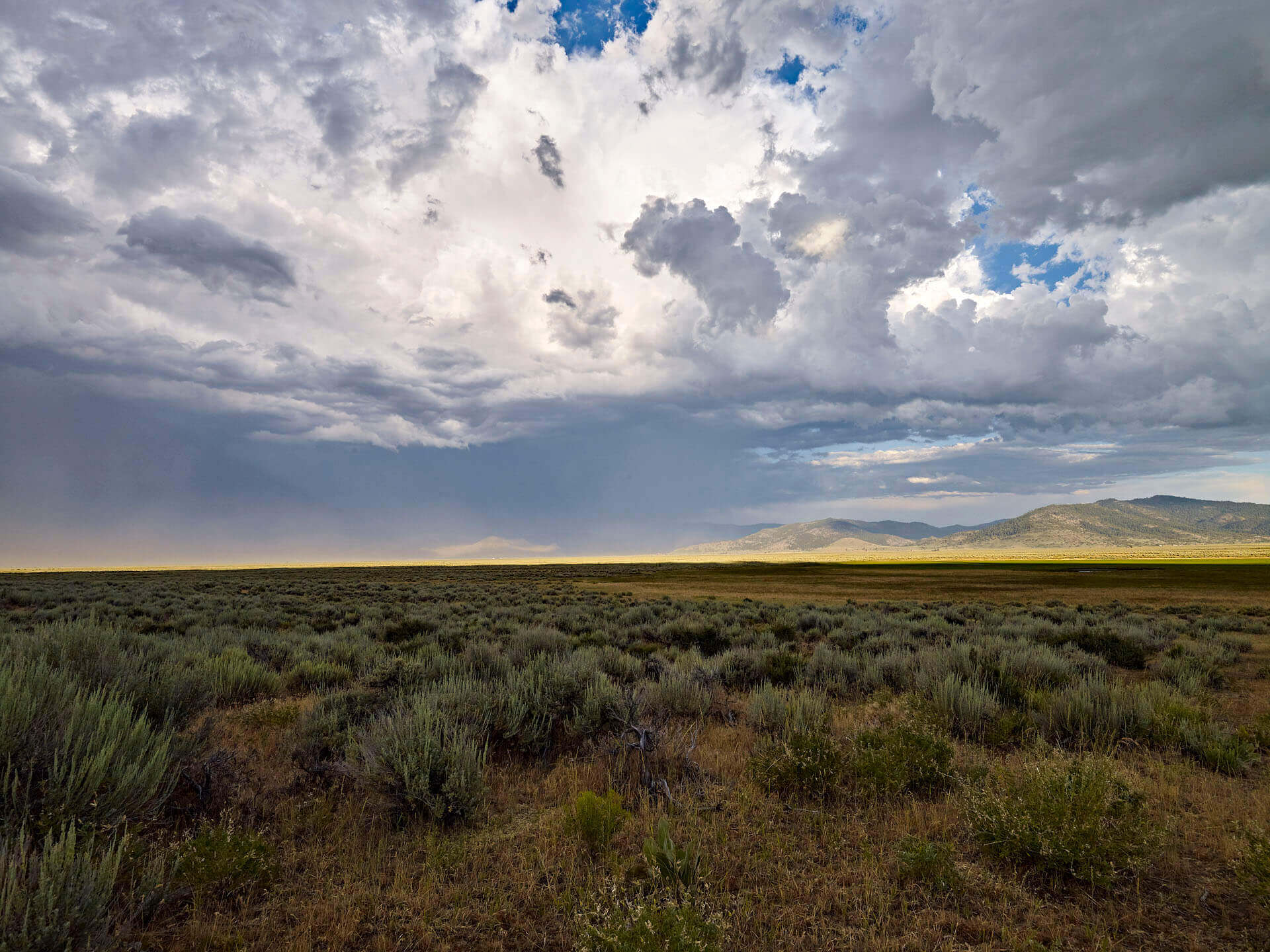 Big landscape view of Sierra Valley