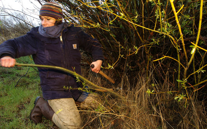 Trina Cunningham tending willows at the Heart K Ranch