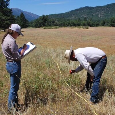 Two people set soil and vegetation monitoring plots in meadow at Heart K Ranch