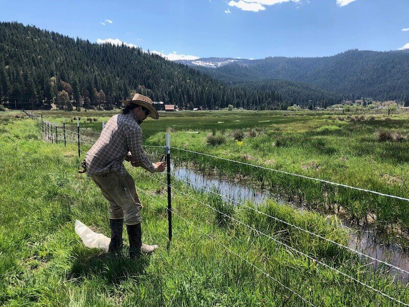 Man installing wildlife friendly fence along pasture with mountain behind