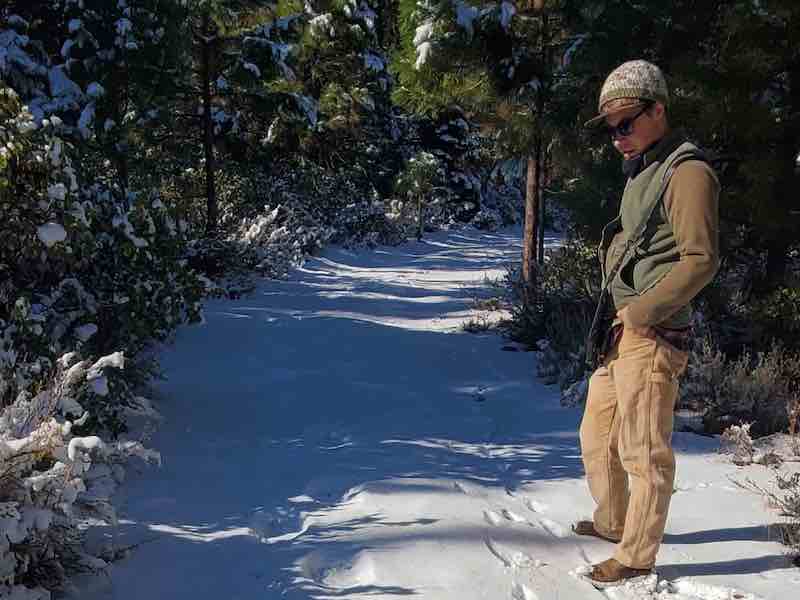 Many studies animal tracks in snow in conifer forest