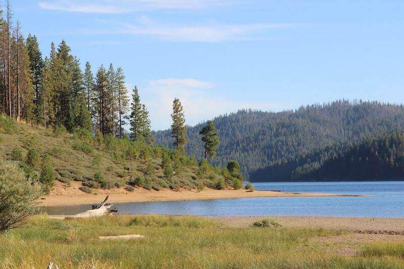 The shoreline and trees along Butt Valley Reservoir