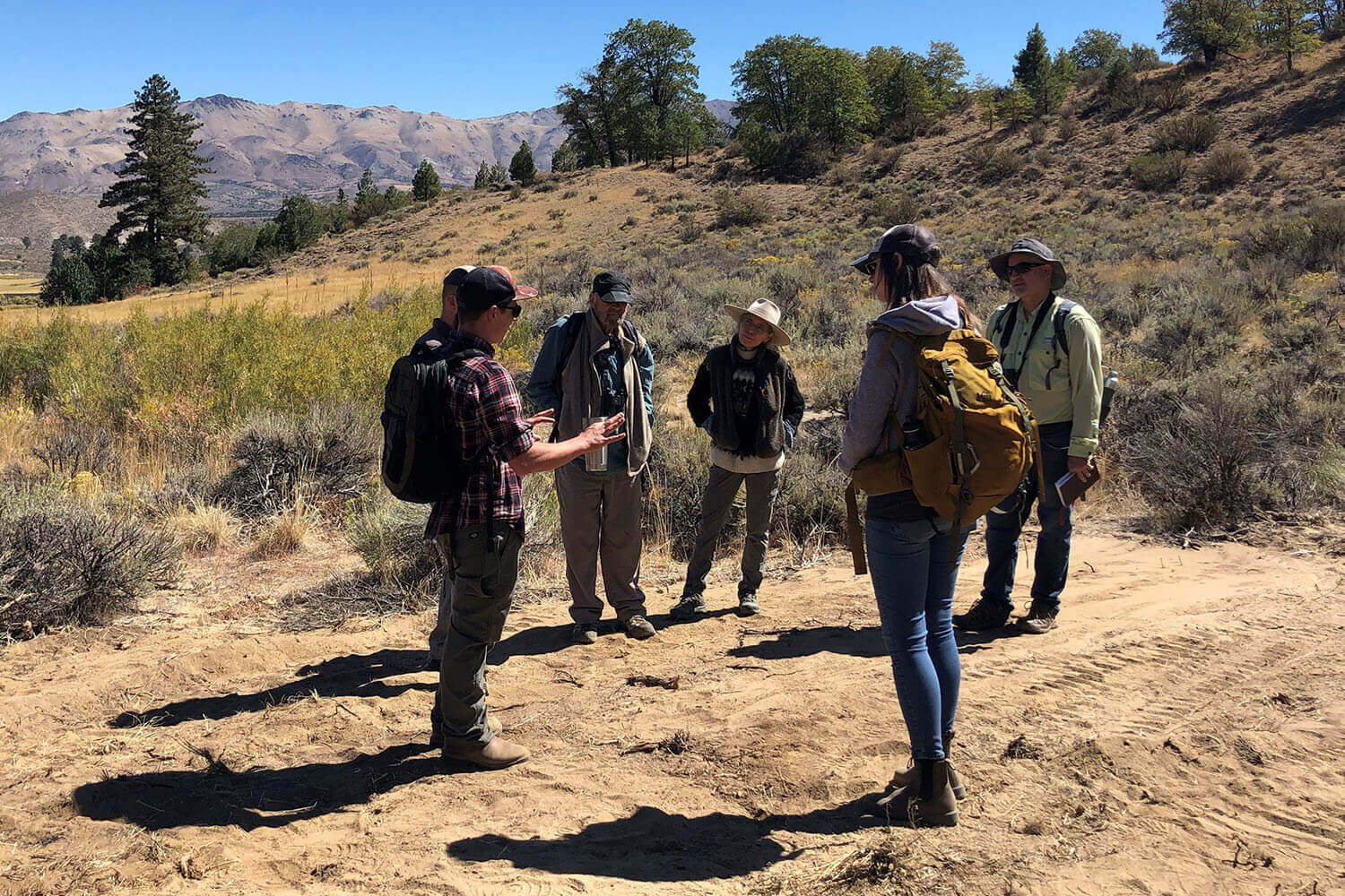 fire recovery task force on field visit