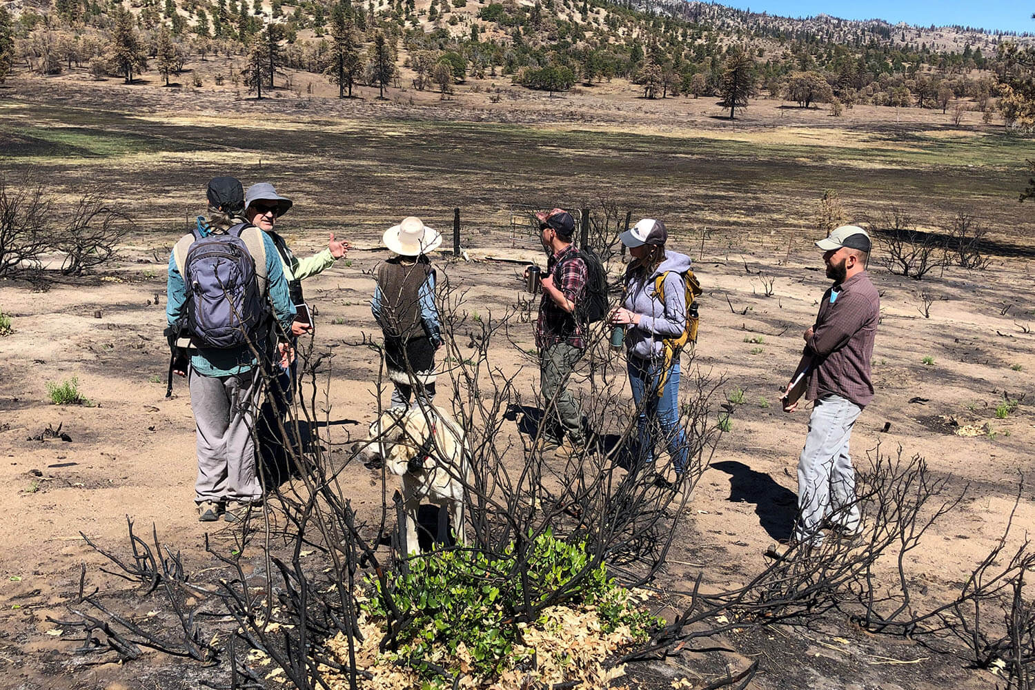 fire recovery task force on field visit