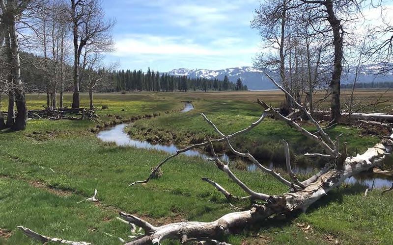 Home Ranch in Lassen County