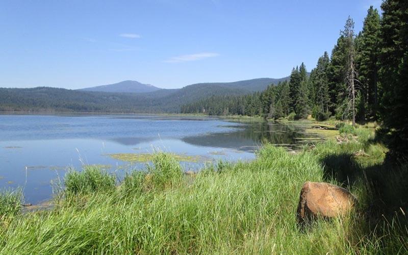 Maidu Wetlands conservation easement