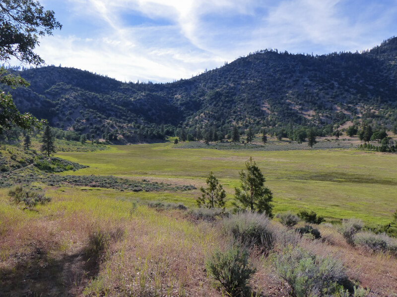 Green meadow with border of shrubs and steep hills