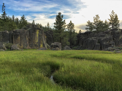 wet meadow in front of rocks in sierra valley