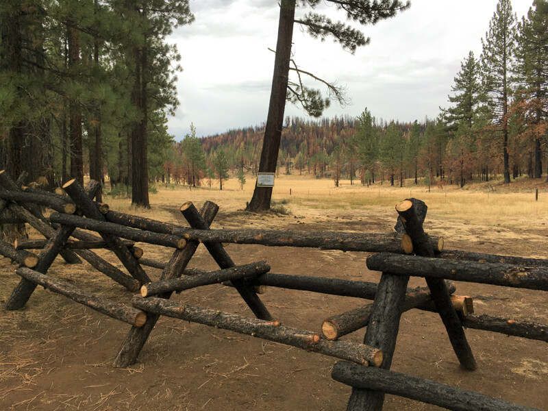 Jackleg Fence protects wet meadow in Sierra Valley