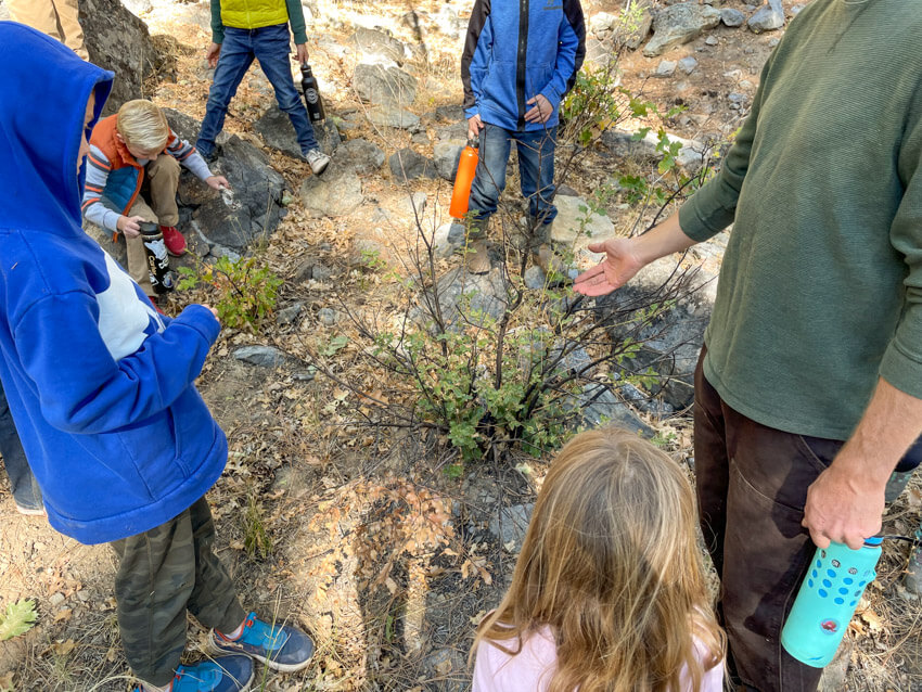 FRLT staff points out a plant to a group of students at the Heart K Ranch in Genesee Valley