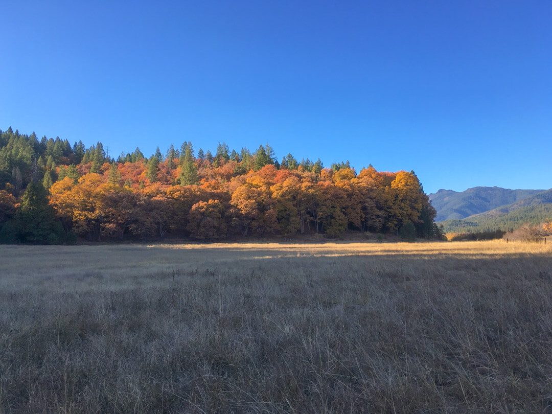 Forgay Point at Wolf Creek Ranch in Indian Valley CA