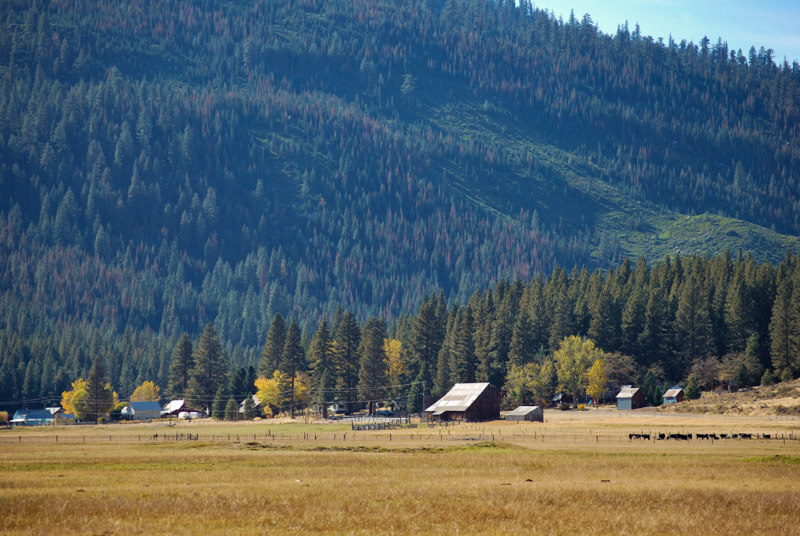 Church Ranch Feather River Land Trust