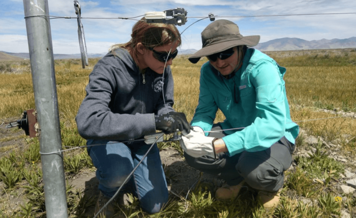 Two High school interns repair wildlife-friendly fencing at the Sierra Valley Preserve
